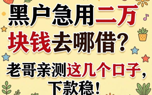 黑户急用二万块钱去哪借？老哥亲测这几个口子，下款稳！