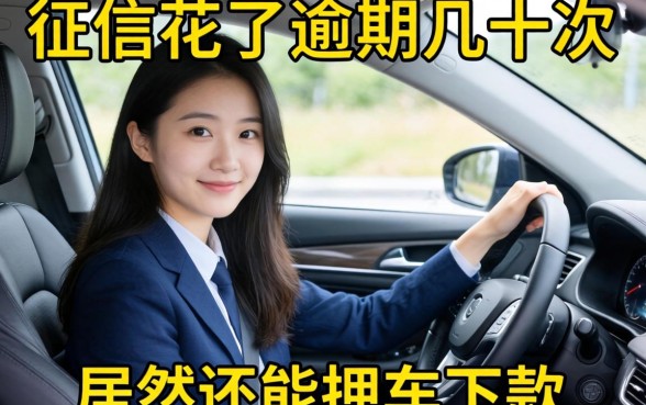 我征信花了逾期几十次，居然还能押车下款，这靠谱吗