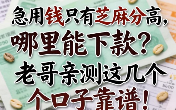 急用钱只有芝麻分高，哪里能下款？老哥亲测这几个口子靠谱！