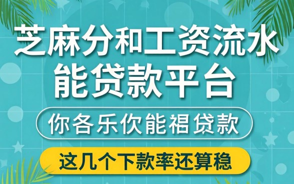 芝麻分和工资流水能贷款的平台，这几个下款率还算稳