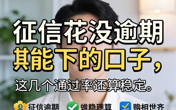 实测征信花没逾期能下的口子，这几个通过率还算稳定