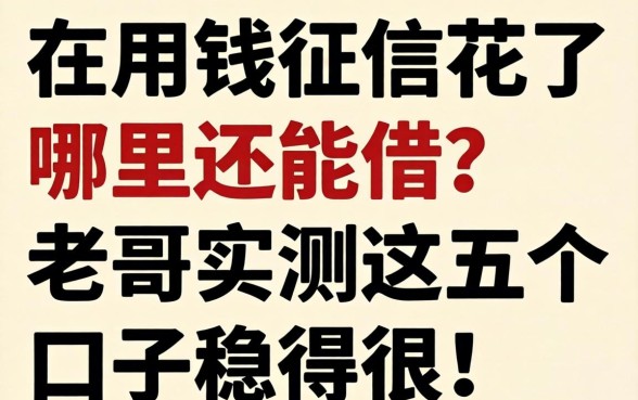 急用钱征信花了哪里还能借？老哥实测这五个口子稳得很！