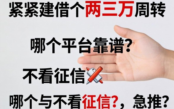 手头紧想借个两三万周转,哪个平台靠谱不看征信?急求推荐!