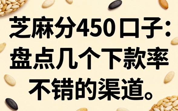 芝麻分450的口子：盘点几个下款率不错的渠道